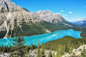 Fra Boston: Halvdagsutflukt til Public Garden, Beacon Hill og mer