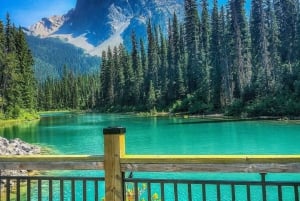 Fra Boston: Halvdagsutflukt til Public Garden, Beacon Hill og mer