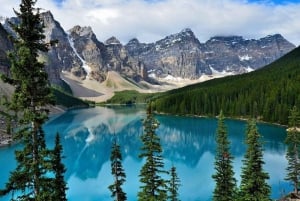 Fra Boston: Halvdagsutflukt til Public Garden, Beacon Hill og mer