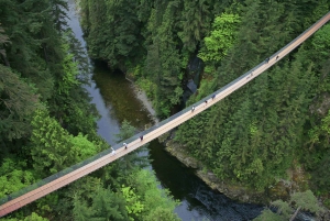 From Vancouver: Capilano Suspension Bridge & Grouse Mountain