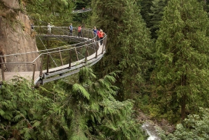 From Vancouver: Capilano Suspension Bridge & Grouse Mountain