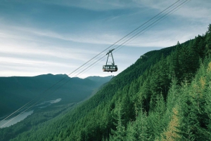 From Vancouver: Capilano Suspension Bridge & Grouse Mountain