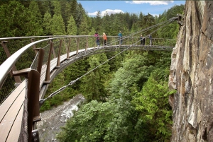 From Vancouver: Capilano Suspension Bridge & Grouse Mountain