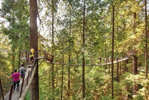 From Vancouver: Capilano Suspension Bridge & Grouse Mountain