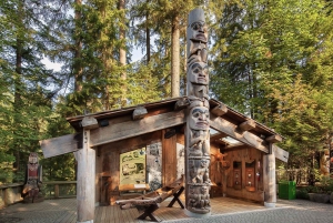 From Vancouver: Capilano Suspension Bridge & Grouse Mountain