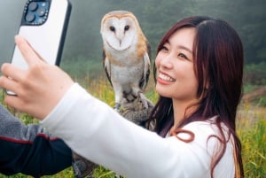 バンクーバー発：キャピラノ吊り橋とグラウスマウンテン