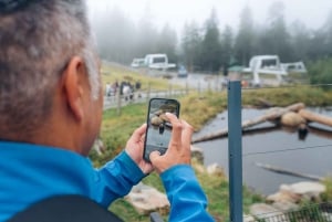バンクーバー発：キャピラノ吊り橋とグラウスマウンテン