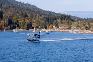 バンクーバー発：シープレーンで楽しむソルトスプリング島日帰りツアー