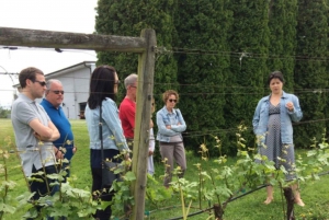 From Vancouver: Fraser Valley Wine Tour with Local Tastings