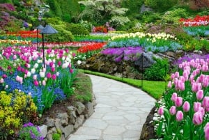 From Vancouver: Full-Day Victoria & Butchart Gardens Tour