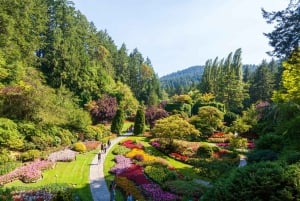 Vancouverista: Victoria & Butchart Gardens -kiertoajelu