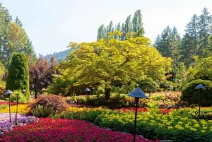 Vancouverista: Victoria & Butchart Gardens -kiertoajelu