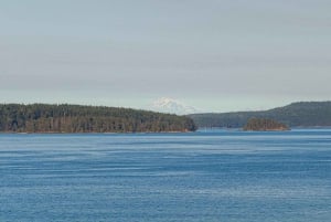 Vancouverista: Victoria & Butchart Gardens -kiertoajelu