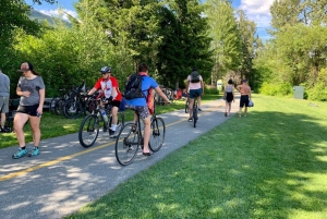 Desde Vancouver: Tour de un día completo por las Cascadas y el pueblo de Whistler