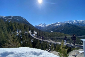 From Vancouver: Full-Day Whistler Tour