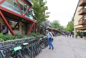 Au départ de Vancouver : Visite d'une jounée à Whistler