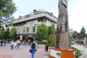 Au départ de Vancouver : Visite d'une jounée à Whistler