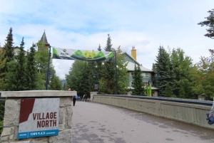 Au départ de Vancouver : Visite d'une jounée à Whistler