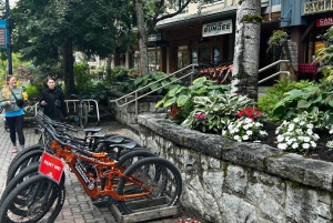 Au départ de Vancouver : Visite d'une jounée à Whistler