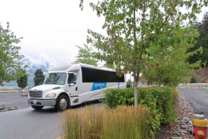 Au départ de Vancouver : Visite d'une jounée à Whistler