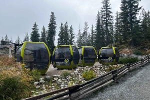 Au départ de Vancouver : Visite d'une jounée à Whistler