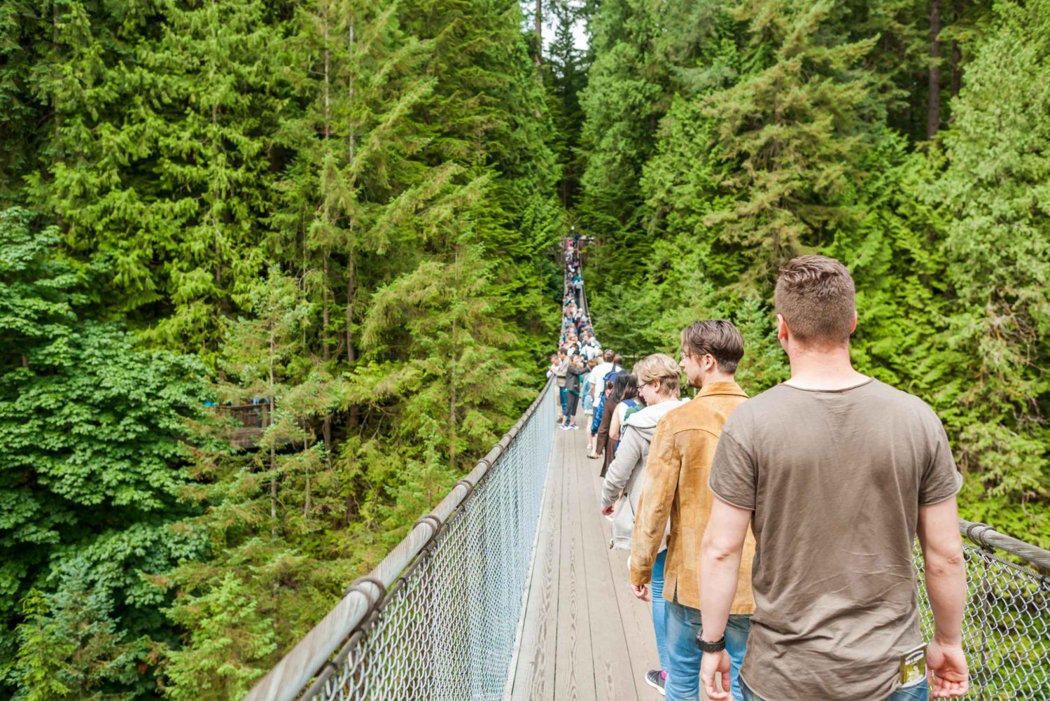 Grouse Mountain, Capilano Bridge & Fish Hatchery Tour
