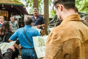 Grouse Mountain, Capilano Bridge og Fish Hatchery-tur
