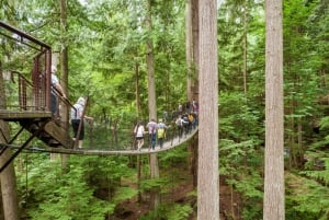 Grouse Mountain, Capilano Bridge og Fish Hatchery-tur