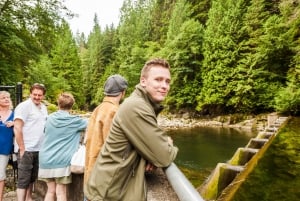 Grouse Mountain, Capilano Bridge og Fish Hatchery-tur