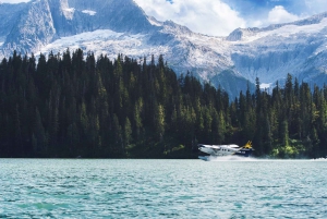 From Vancouver: Round-trip Day Trip to Whistler by Seaplane