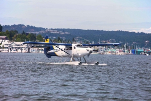 From Vancouver: Scenic Seaplane Transfer to Nanaimo