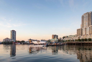 From Vancouver: Scenic Seaplane Transfer to Nanaimo