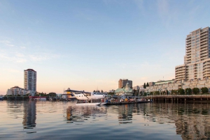 From Vancouver: Scenic Seaplane Transfer to Nanaimo