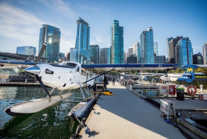 From Vancouver: Scenic Seaplane Transfer to Powell River