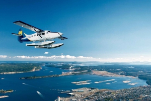 From Vancouver: Scenic Seaplane Transfer to Powell River