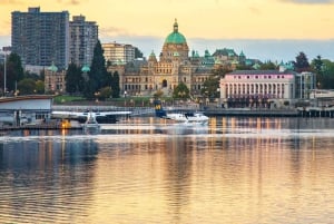 Naturskøn flyvning med vandfly: Vancouver til Victoria (enkelt)