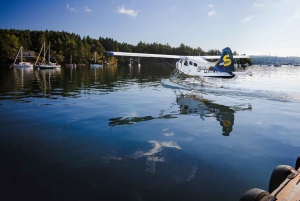 From Vancouver: Seaplane Transfer to Salt Spring Island