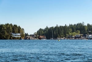 Scenic Seaplane Flight: Vancouver to Tofino (One Way)