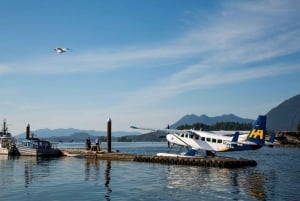 Scenic Seaplane Flight: Vancouver to Tofino (One Way)