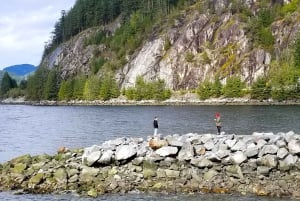 Fra Vancouver: Shannon Falls og sightseeingtur i Whistler