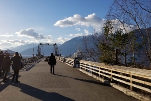Fra Vancouver: Shannon Falls og sightseeingtur i Whistler