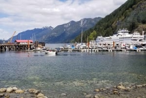 Fra Vancouver: Shannon Falls og sightseeingtur i Whistler