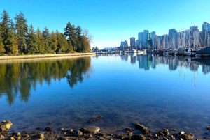 Из Ванкувера: Обзорная экскурсия по водопаду Шеннон и Уистлеру