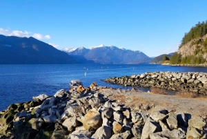 Из Ванкувера: Обзорная экскурсия по водопаду Шеннон и Уистлеру