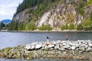 Из Ванкувера: Обзорная экскурсия по водопаду Шеннон и Уистлеру