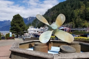 Из Ванкувера: Обзорная экскурсия по водопаду Шеннон и Уистлеру