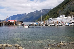 Из Ванкувера: Обзорная экскурсия по водопаду Шеннон и Уистлеру