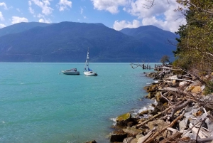 Из Ванкувера: Обзорная экскурсия по водопаду Шеннон и Уистлеру