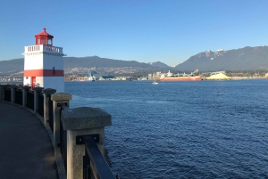 Из Ванкувера: Обзорная экскурсия по водопаду Шеннон и Уистлеру