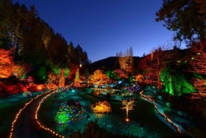 Depuis Vancouver : visite de Victoria et des Jardins Butchart en période festive